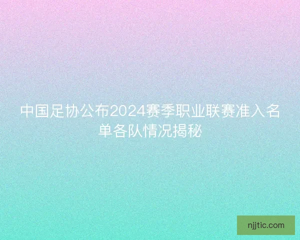 中国足协公布2024赛季职业联赛准入名单各队情况揭秘